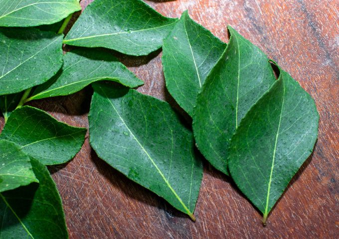 Benefits of Chewing Curry Leaves Every Morning