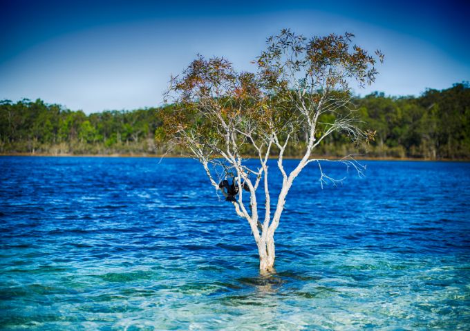 Lake McKenzie