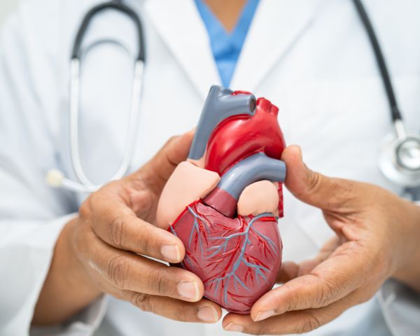 Avoid Cardiovascular Disease by Regular Medical Visits