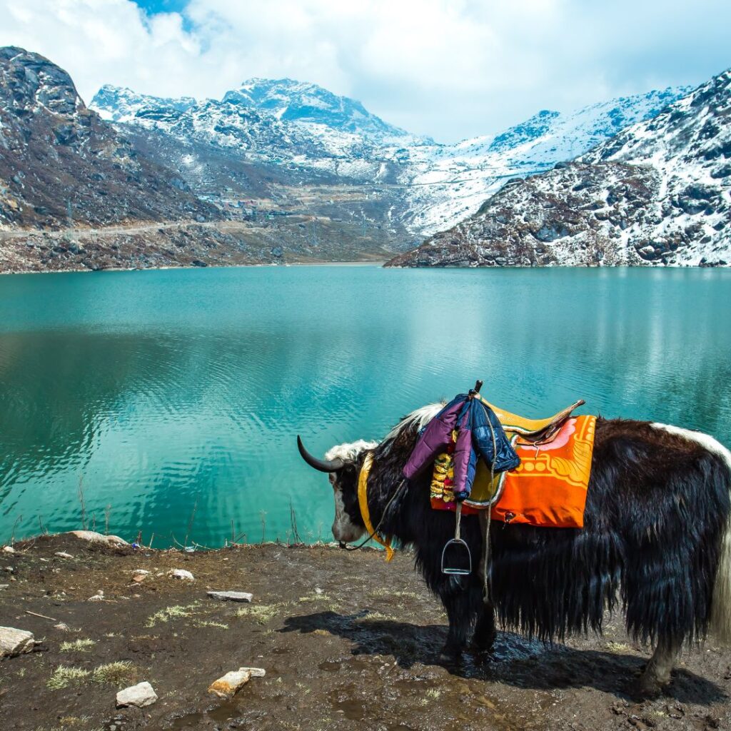 A Place of Stunning Beauty and Views