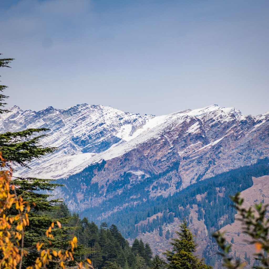 When To Plan Your Visit For Chopta Tungnath Trek