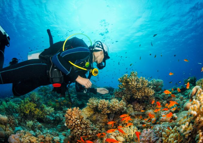 Goa Scuba Diving