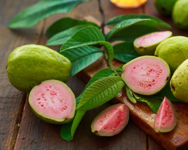Guava