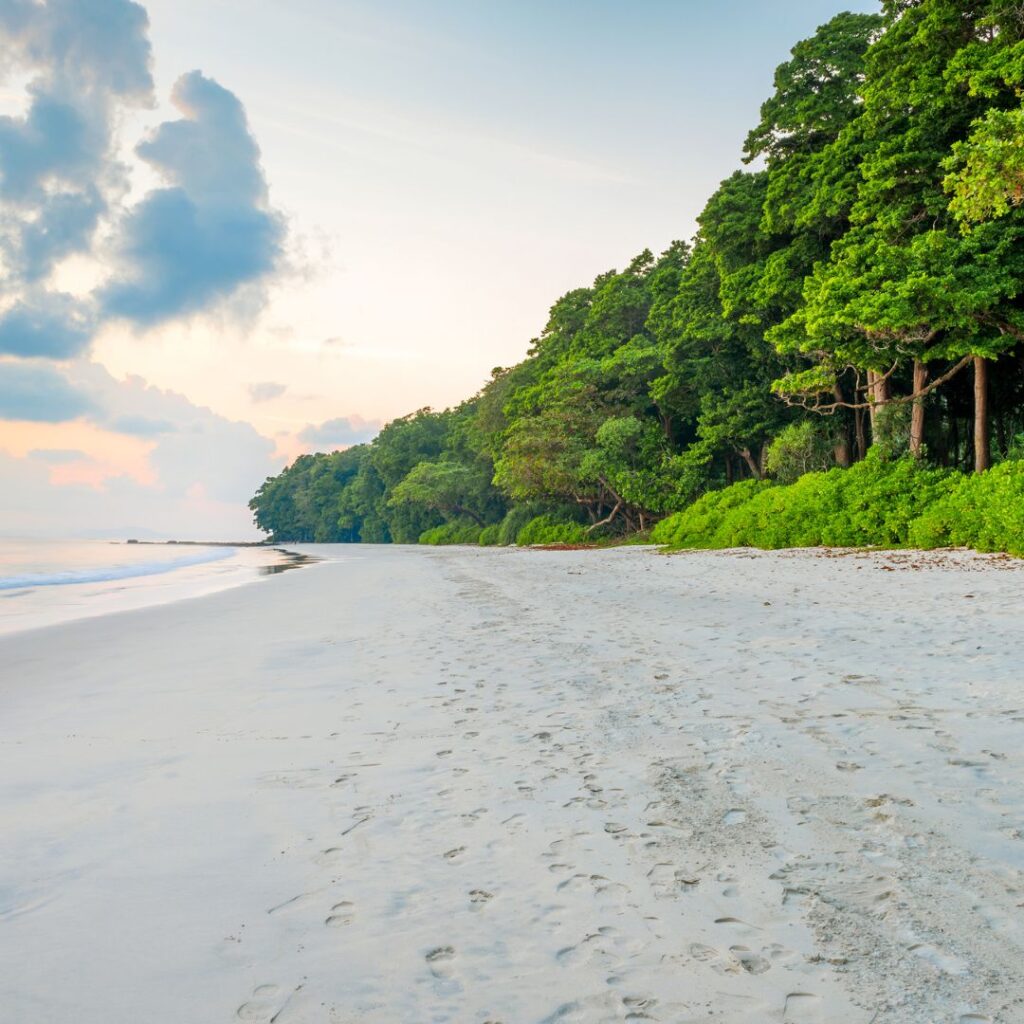Most Exotic Water Activities in Havelock Island