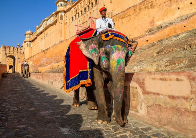 Jaipur’s Amber Fort Elephant Rides