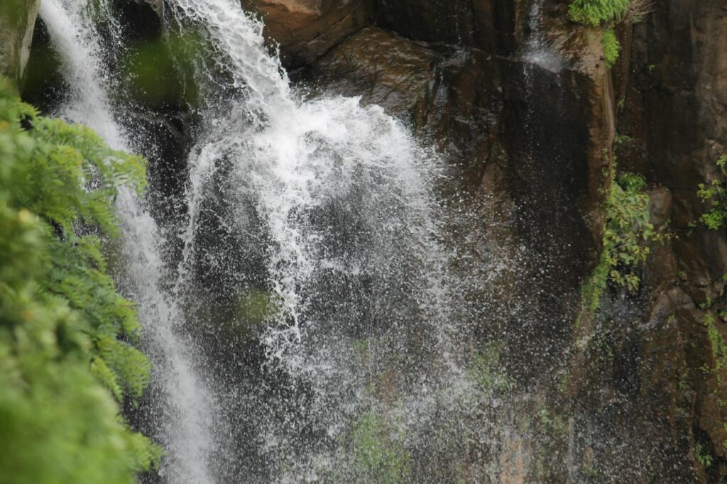 Keechakadara