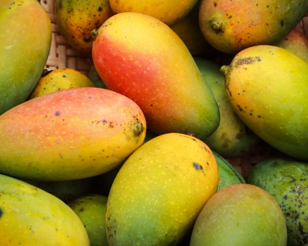 Mango