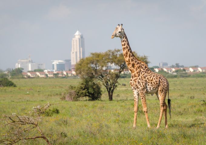 Nairobi