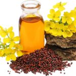 Olive Oil vs. Mustard Oil Which is Better for Heart Health