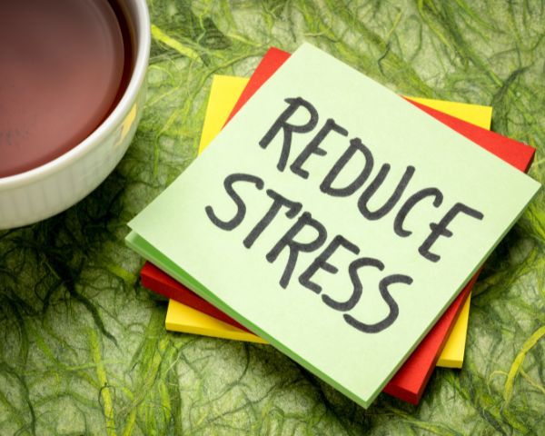Reduce the Level of Stress