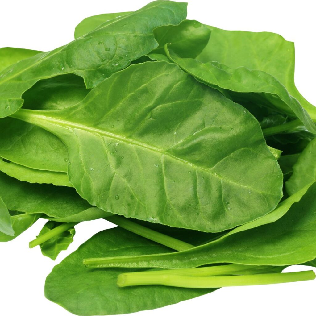 Sarson Da Saag