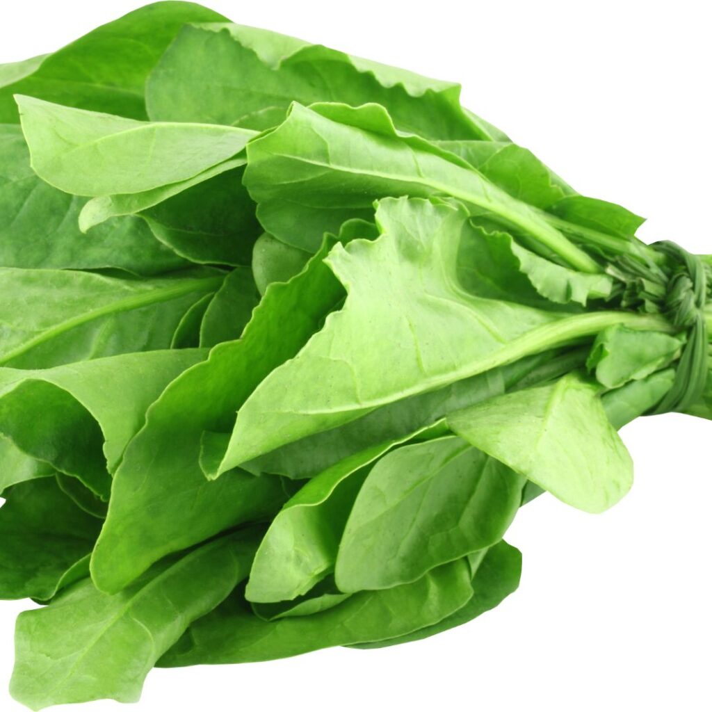 Sarson Da Saag