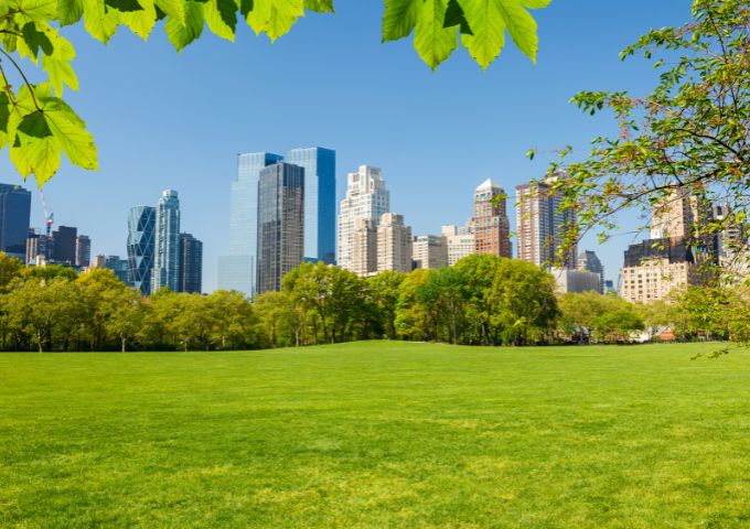 Sheep Meadow