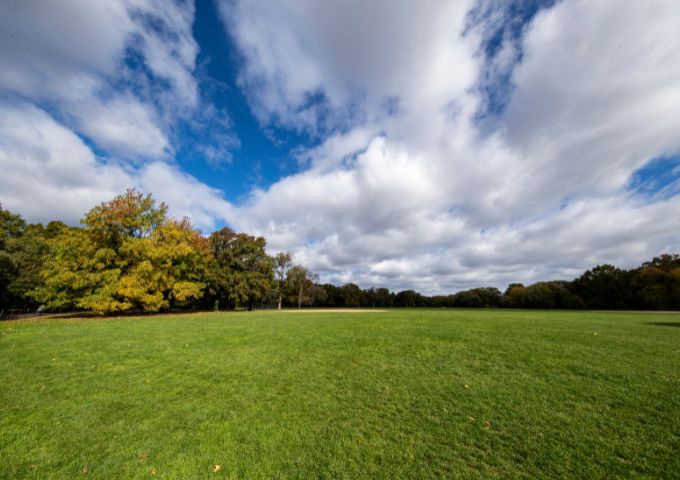 The Great Lawn