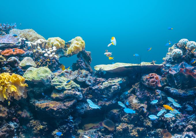 Watamu Marine Park’s