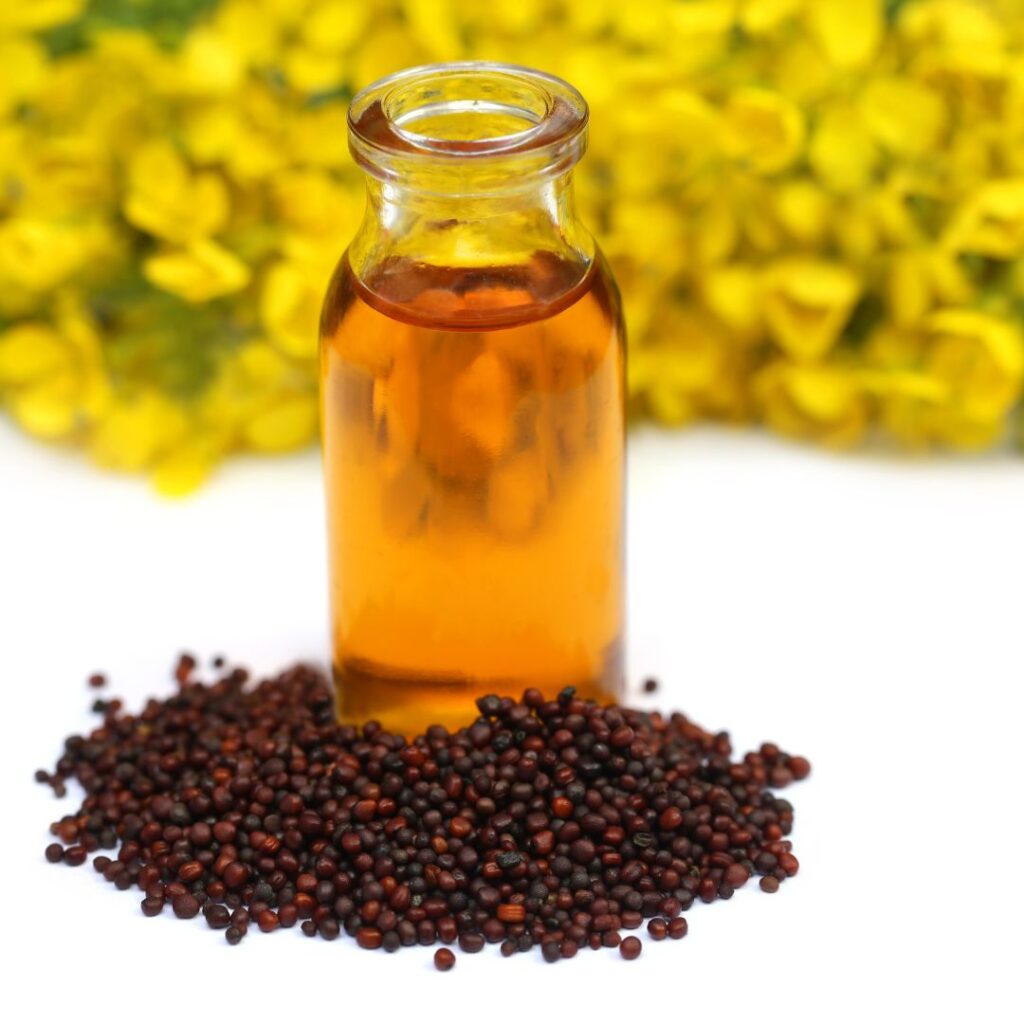 Mustard Oil Vs Olive Oil: The battle of the oils in terms of heart friendliness