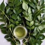 Health Benefits of Curry Leaves (Kadi Patta),