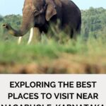 Exploring the Best Places to Visit Near Nagarhole, Karnataka