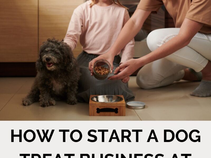 How to Start a Dog Treat Business at Home